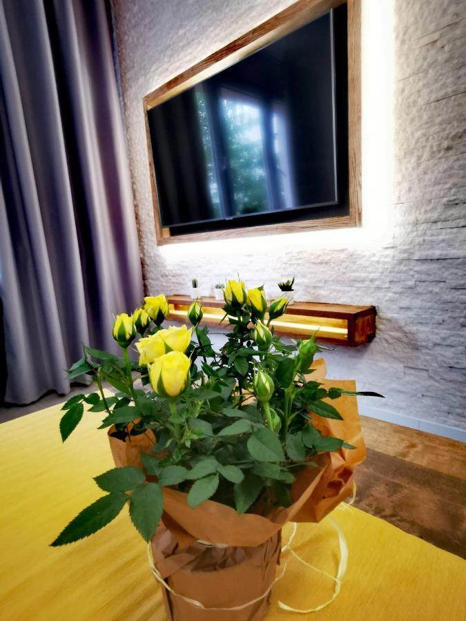 Apartament Przy Arsenale Wrocław Extérieur photo