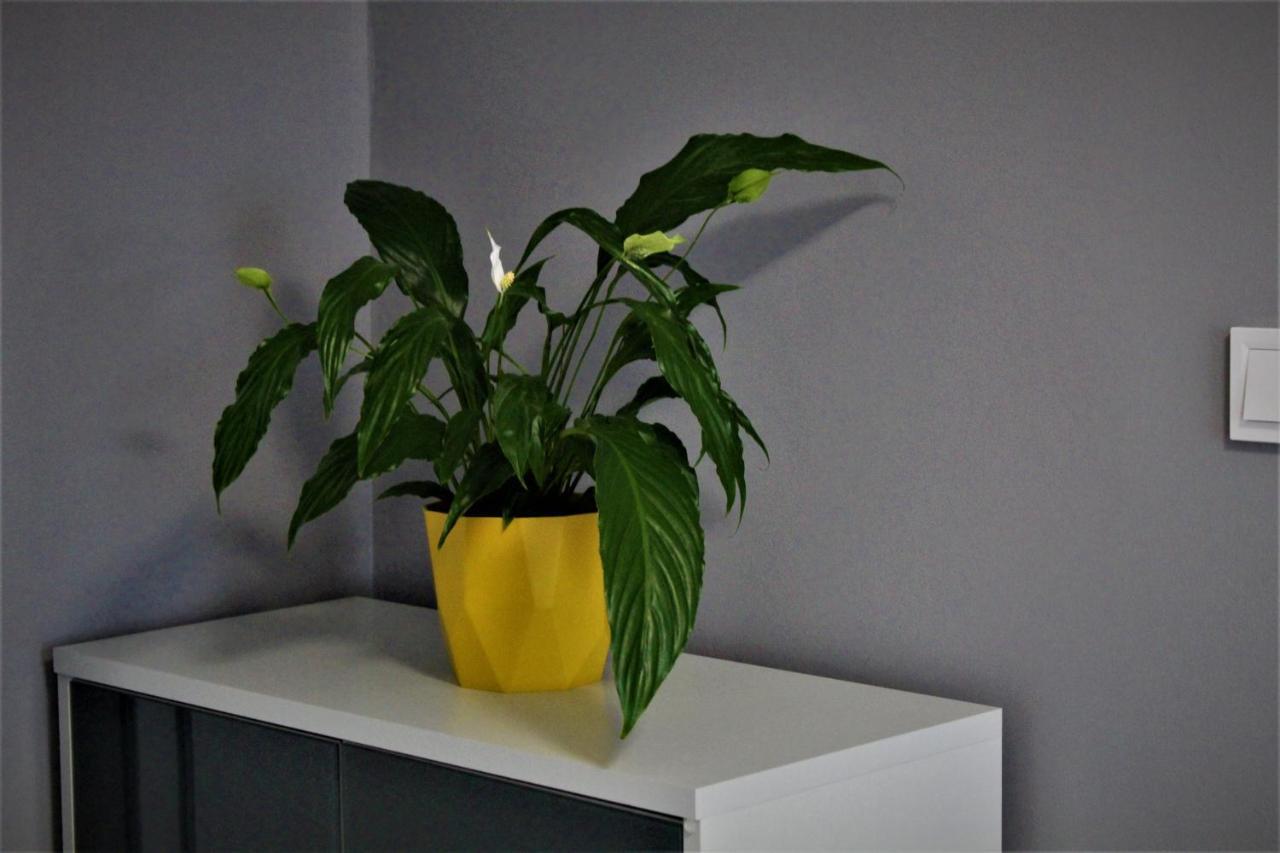 Apartament Przy Arsenale Wrocław Extérieur photo